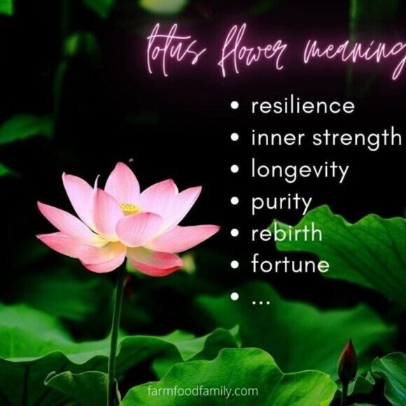 Turquoise Magnesite + Lotus Blossom! Thick Gold Chain Bracelet! Your Size!!! - Picture 6 of 6